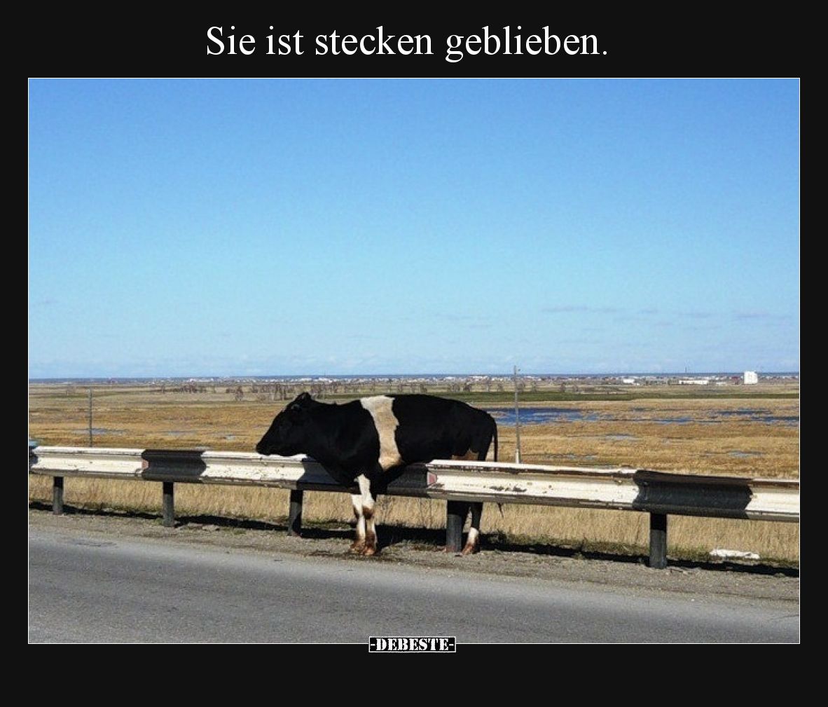 Sie ist stecken geblieben.