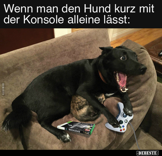 Wenn man den Hund kurz mit der Konsole alleine lässt.. - Lustige Bilder | DEBESTE.de