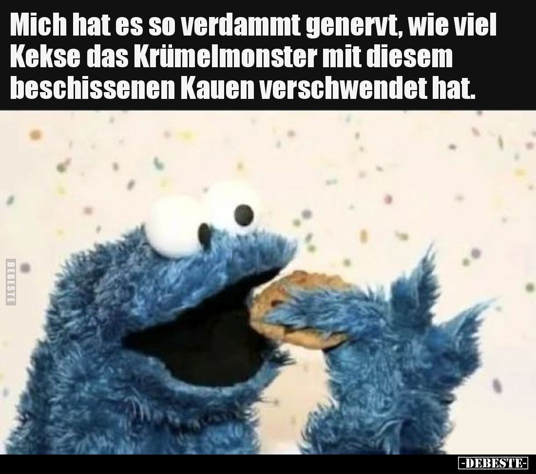 Mich hat es so verdammt genervt, wie viel Kekse das Krümelmonster mit diesem beschissenen Kauen verschwendet hat.