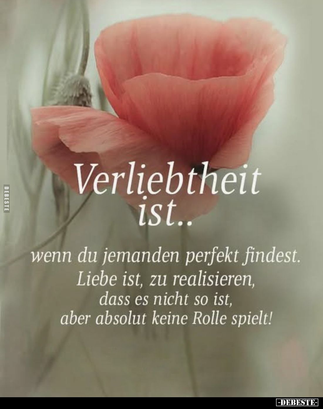 Verliebtheit ist..
wenn du jemanden perfekt findest.
Liebe ist, zu realisieren, dass es nicht so ist, aber absolut keine Ro...