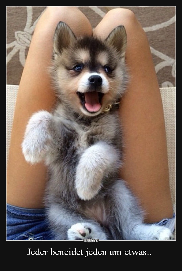 Jeder beneidet jeden um etwas..