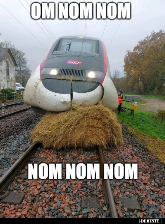 OM NOM NOM...
NOM NOM NOM