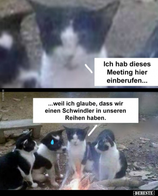 Ich hab dieses Meeting hier einberufen... - Lustige Bilder | DEBESTE.de