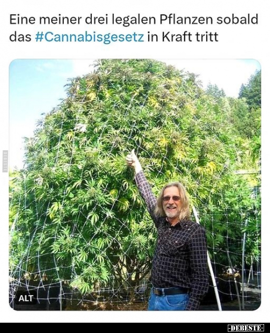 Eine meiner drei legalen Pflanzen.. - Lustige Bilder | DEBESTE.de