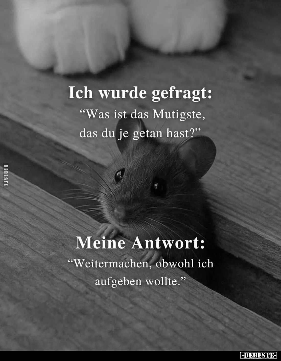 Ich wurde gefragt:
"Was ist das Mutigste, das du je getan hast?" -
Meine Antwort:
"Weitermachen, obwohl ich...