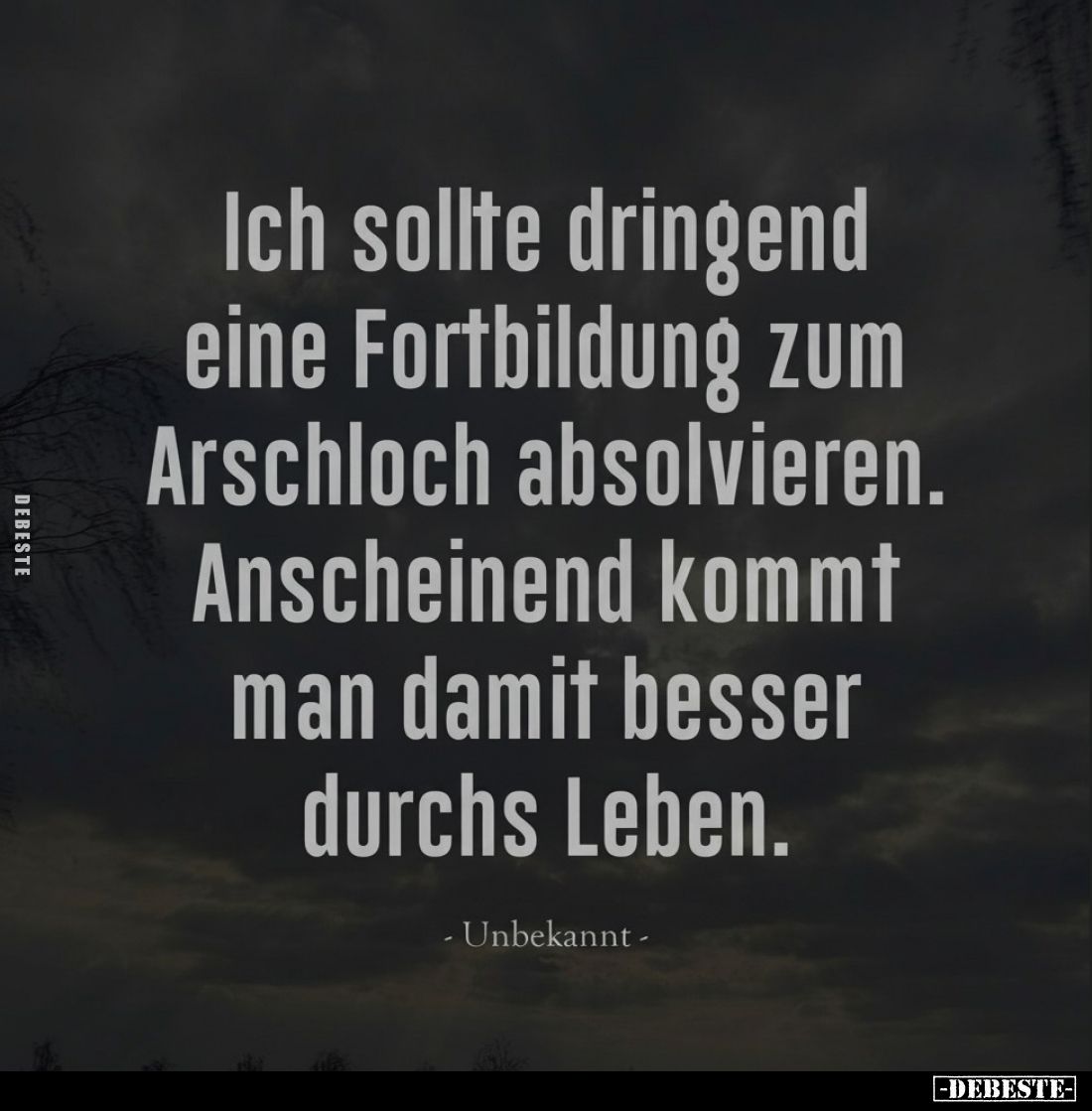 Ich sollte dringend eine Fortbildung zum Arschloch absolvieren. Anscheinend kommt man damit besser durchs Leben.