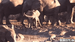  - Lustige Bilder | DEBESTE.de