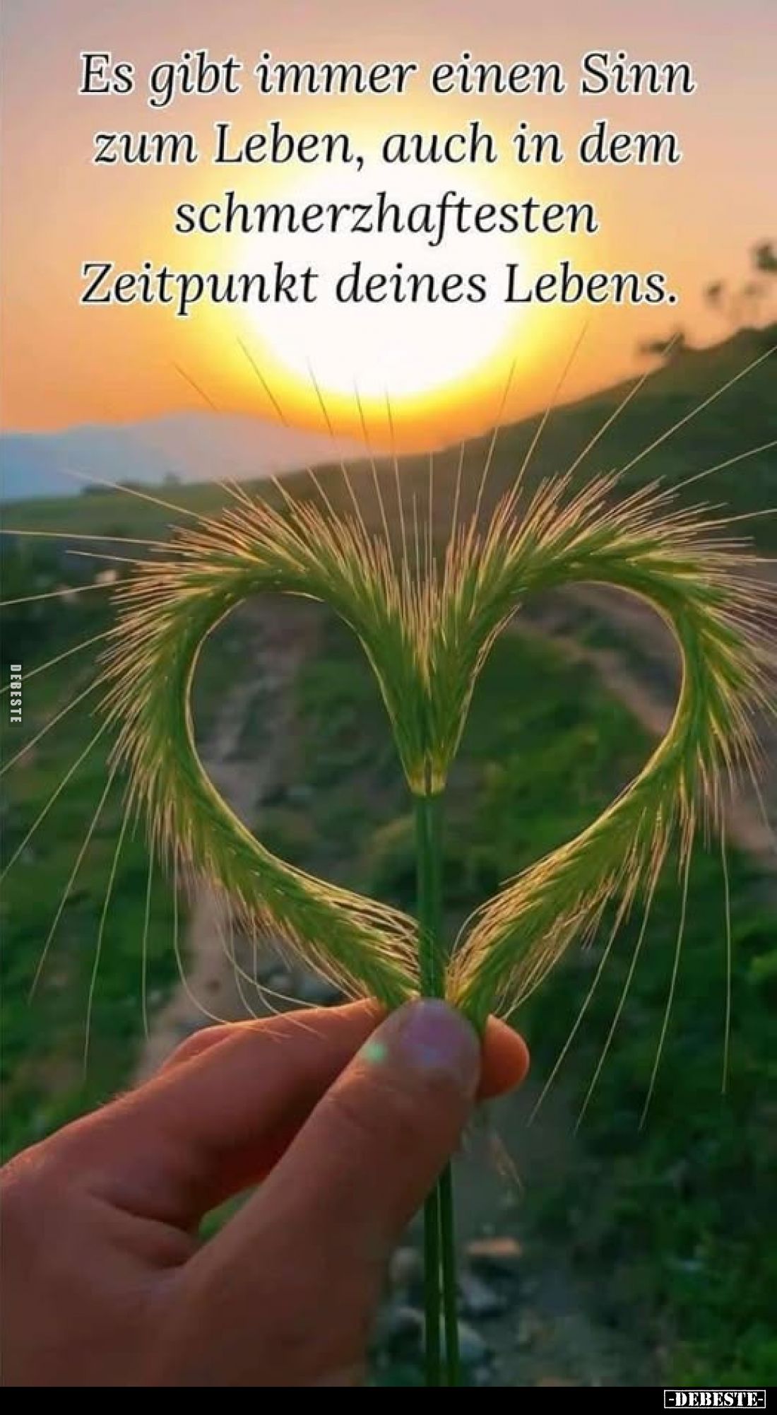 Es gibt immer einen Sinn zum Leben, auch in dem schmerzhaftesten
Zeitpunkt deines Lebens.