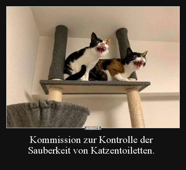 Kommission zur Kontrolle der Sauberkeit von.. - Lustige Bilder | DEBESTE.de
