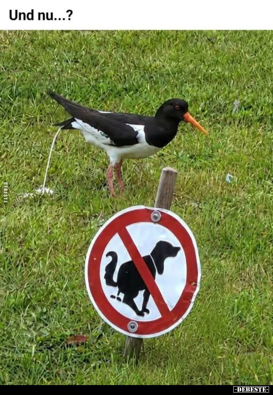 Und nu...?