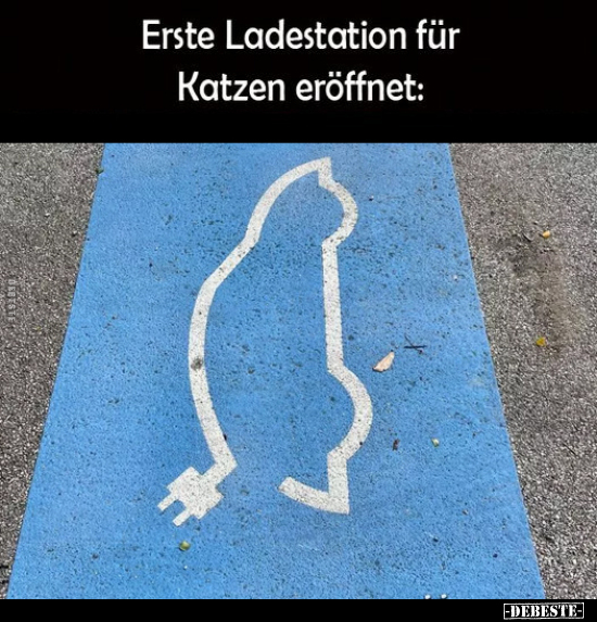 Erste Ladestation für Katzen eröffnet.. - Lustige Bilder | DEBESTE.de