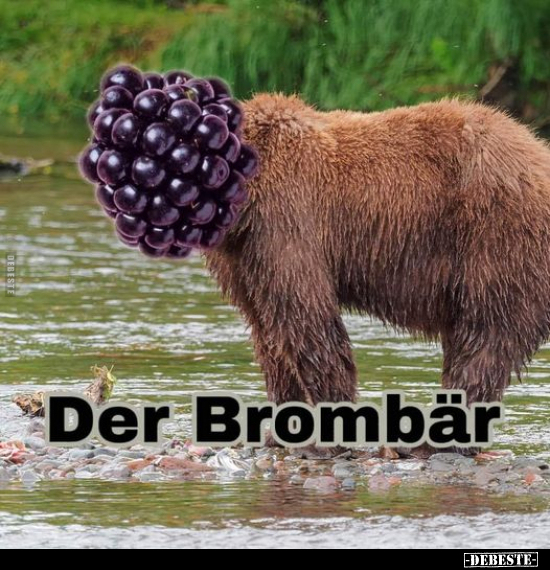 Der Brombär.. - Lustige Bilder | DEBESTE.de