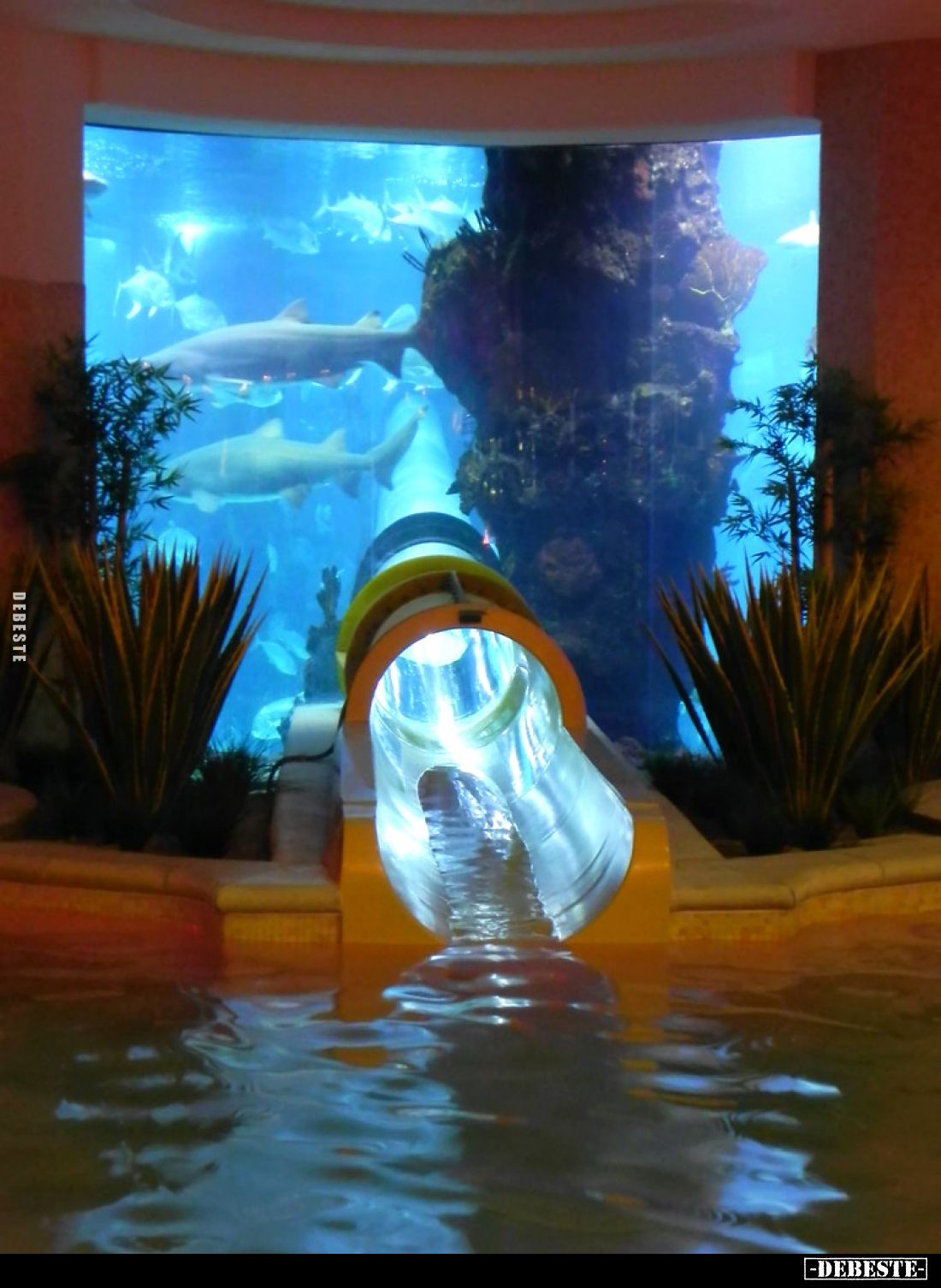 Cool..