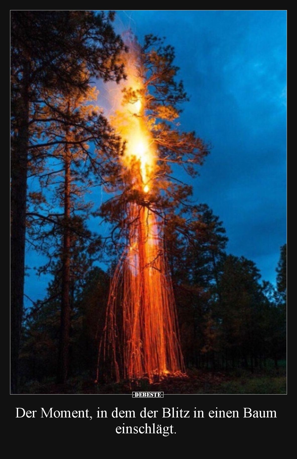Der Moment, in dem der Blitz in einen Baum einschlägt.