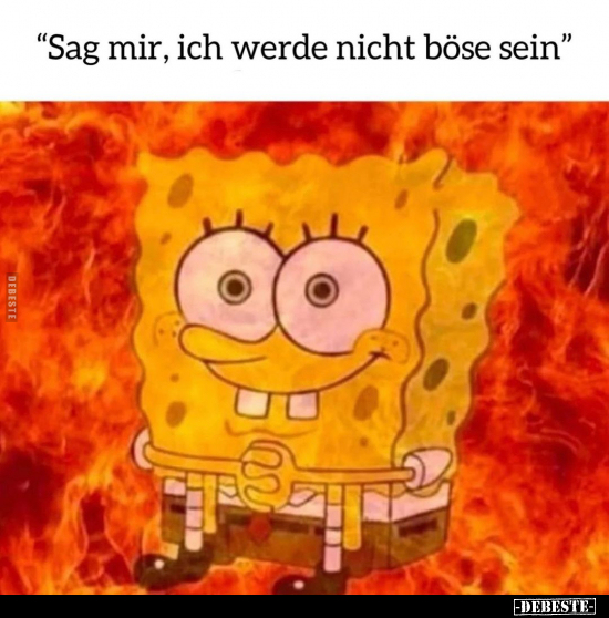 "Sag mir, ich werde nicht böse sein".. - Lustige Bilder | DEBESTE.de
