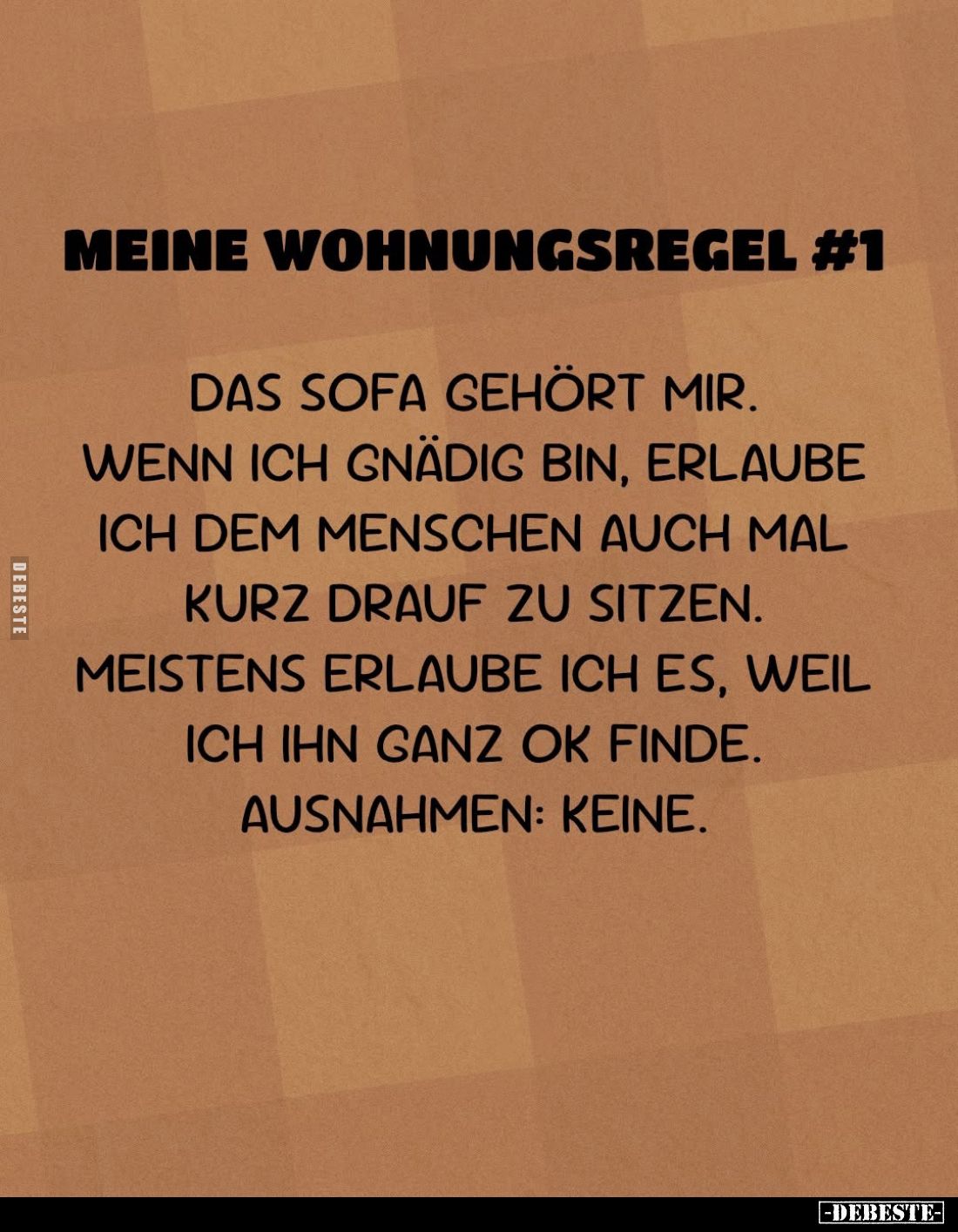 Meine Wohnungsregel #1 Das Sofa gehört mir.. - Lustige Bilder | DEBESTE.de