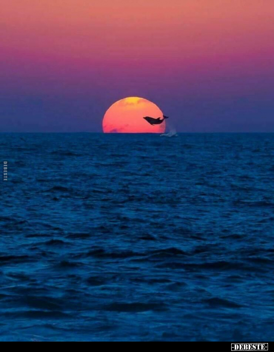  - Lustige Bilder | DEBESTE.de