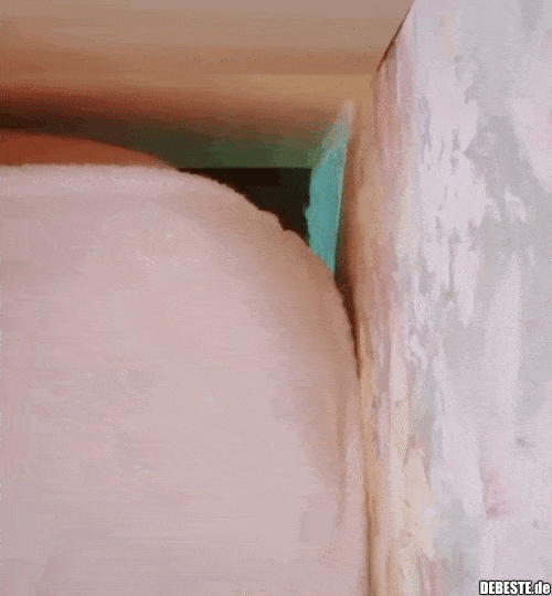  - Lustige Bilder | DEBESTE.de