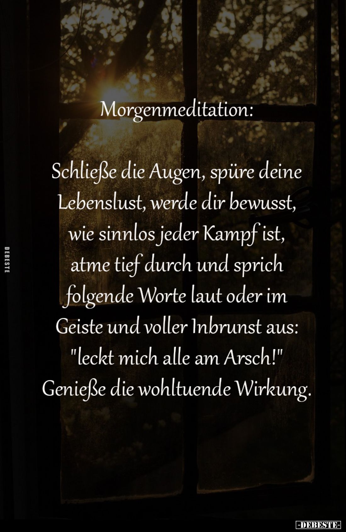 Morgenmeditation:

Schließe die Augen, spüre deine
Lebenslust, werde dir bewusst,
wie sinnlos jeder Kampf ist,
atme tief...