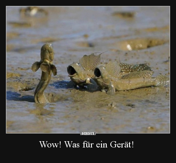 Wow! Was für ein Gerät!.. - Lustige Bilder | DEBESTE.de