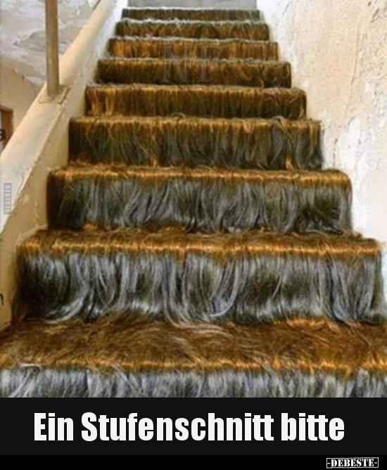 Ein Stufenschnitt bitte.. - Lustige Bilder | DEBESTE.de