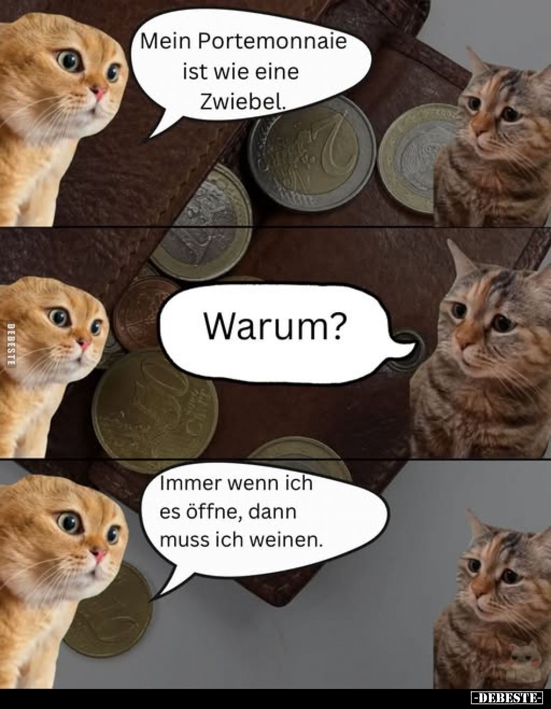 Mein Portemonnaie ist wie eine Zwiebel.
-
Warum?
-
Immer wenn ich es öffne, dann muss ich weinen.
