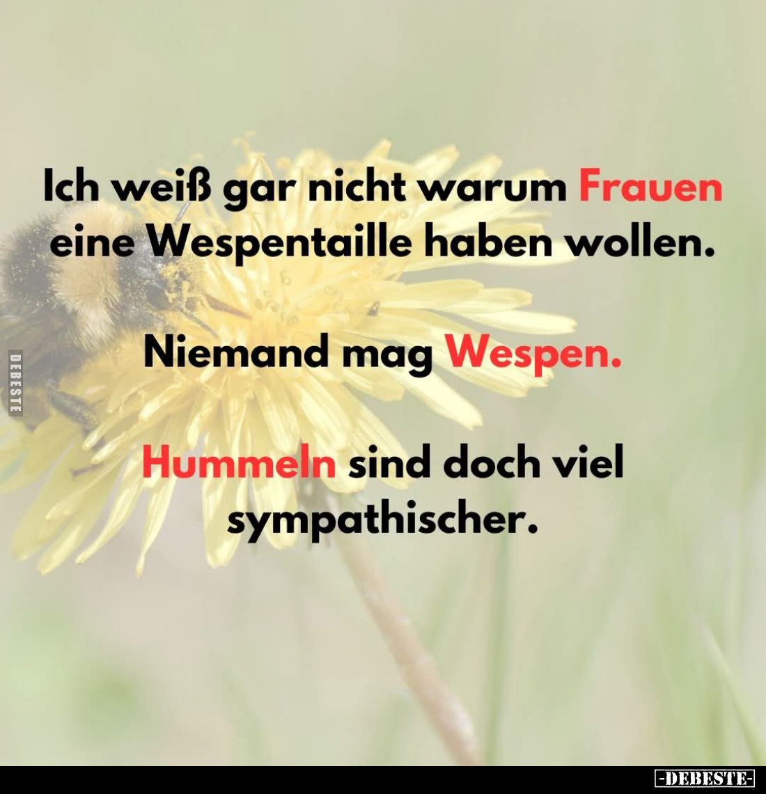 Ich weiß gar nicht warum Frauen eine Wespentaille haben wollen.
Niemand mag Wespen.
Hummeln sind doch viel sympathischer.