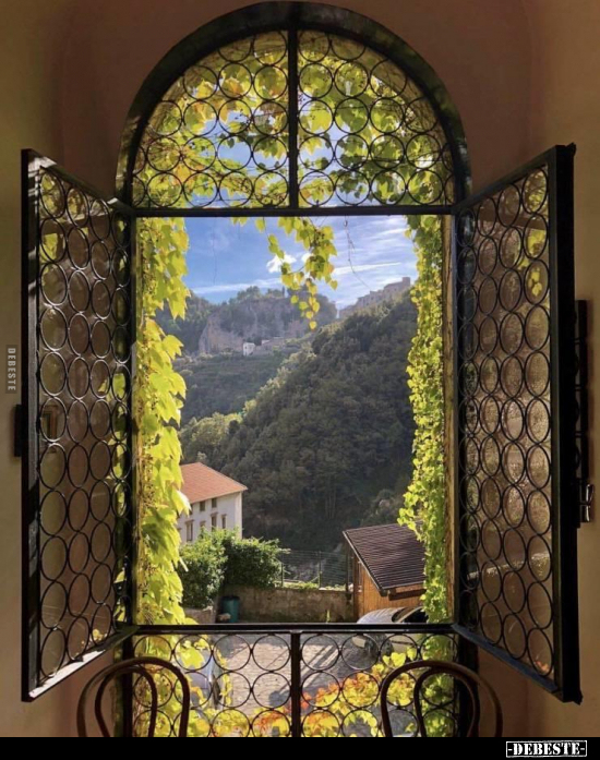  - Lustige Bilder | DEBESTE.de