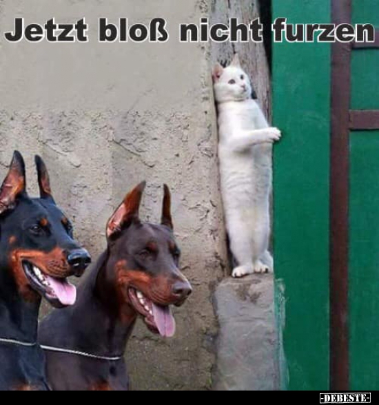 Jetzt bloß nicht furzen...