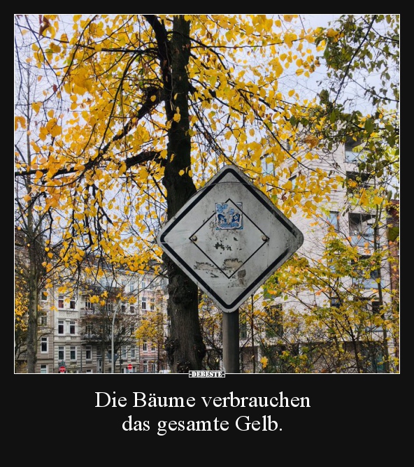 Die Bäume verbrauchen das gesamte Gelb... - Lustige Bilder | DEBESTE.de