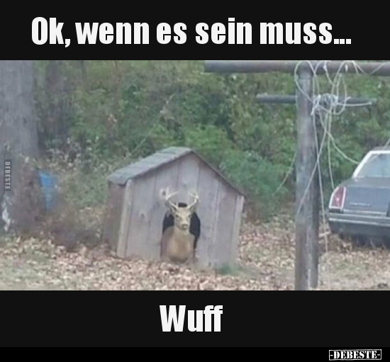 Ok, wenn es sein muss... Wuff..