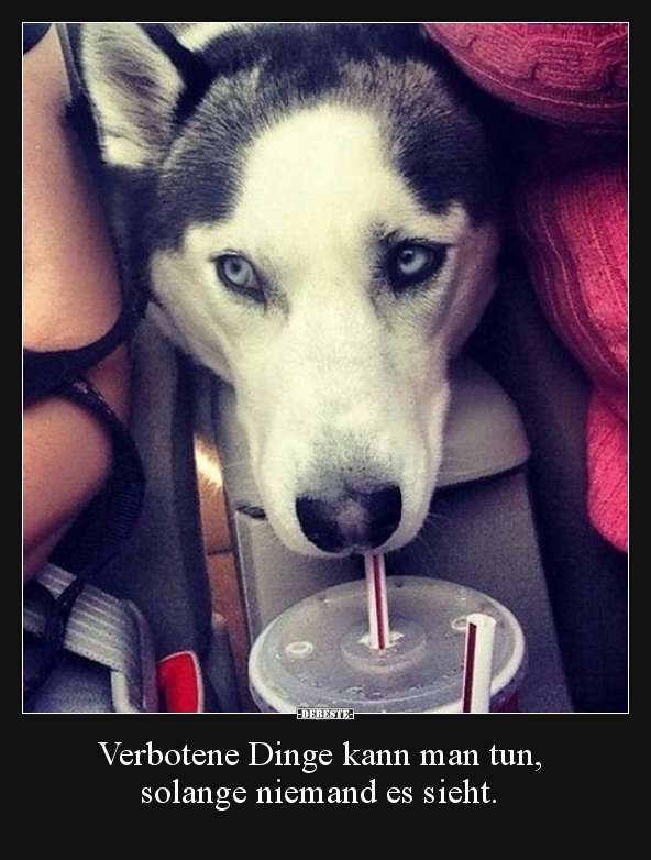 Verbotene Dinge kann man tun, solange niemand es sieht...