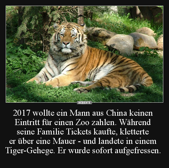 2017 wollte ein Mann aus China.. - Lustige Bilder | DEBESTE.de