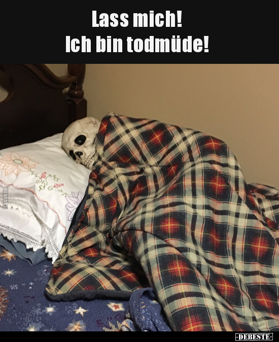 Lass mich! Ich bin todmüde!.. - Lustige Bilder | DEBESTE.de