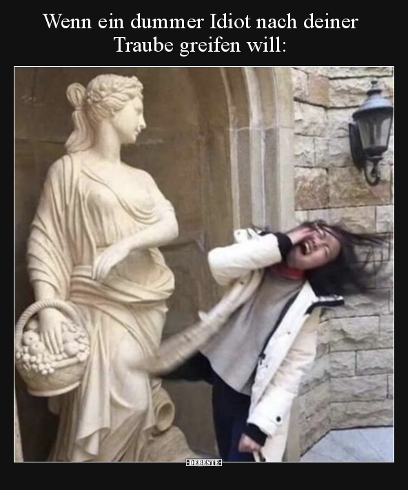 Wenn ein dummer Idiot nach deiner Traube greifen will.. - Lustige Bilder | DEBESTE.de