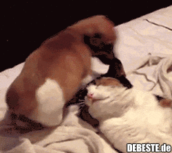 Huch wo sitze ich da..