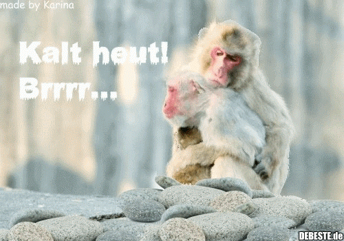 Kalt heut! Brrrr...