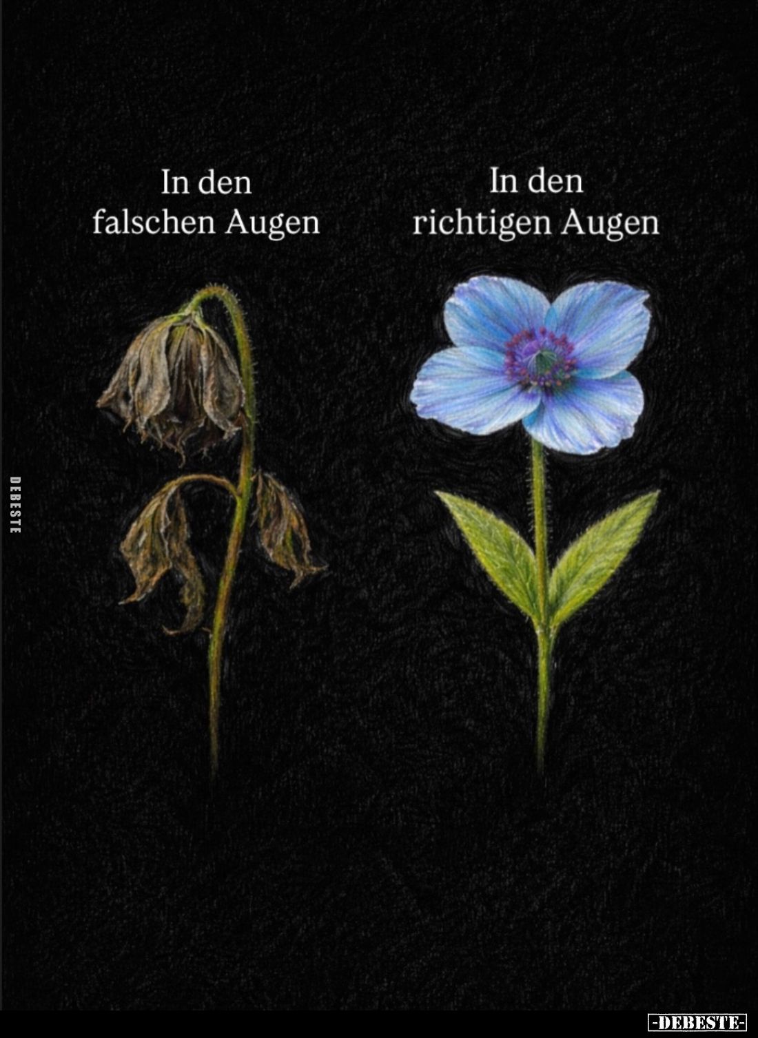 In den falschen Augen
-
In den richtigen Augen