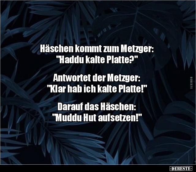 Häschen kommt zum Metzger: "Haddu kalte.." - Lustige Bilder | DEBESTE.de