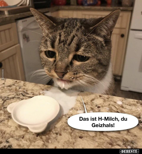 Das ist H-Milch, du Geizhals!.. - Lustige Bilder | DEBESTE.de