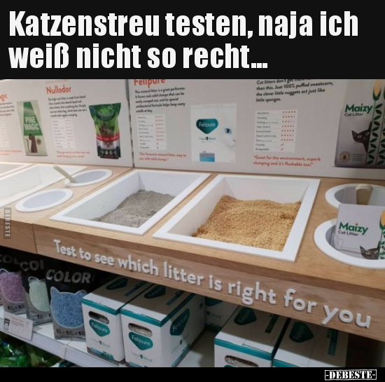 Katzenstreu testen, naja ich weiß nicht so recht... - Lustige Bilder | DEBESTE.de