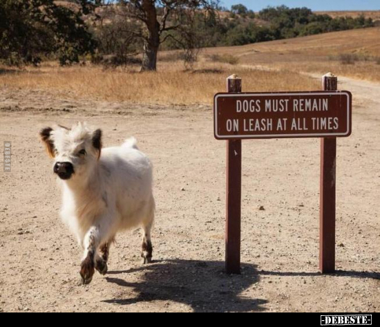 DOGS MUST REMAIN ON LEASH AT ALL TIMES