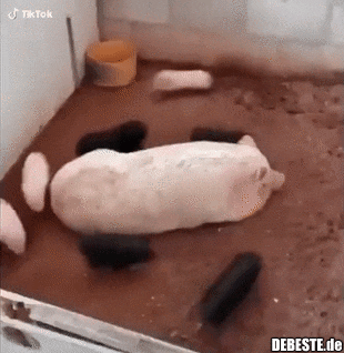 20-jährige vs. 30-jährigem..