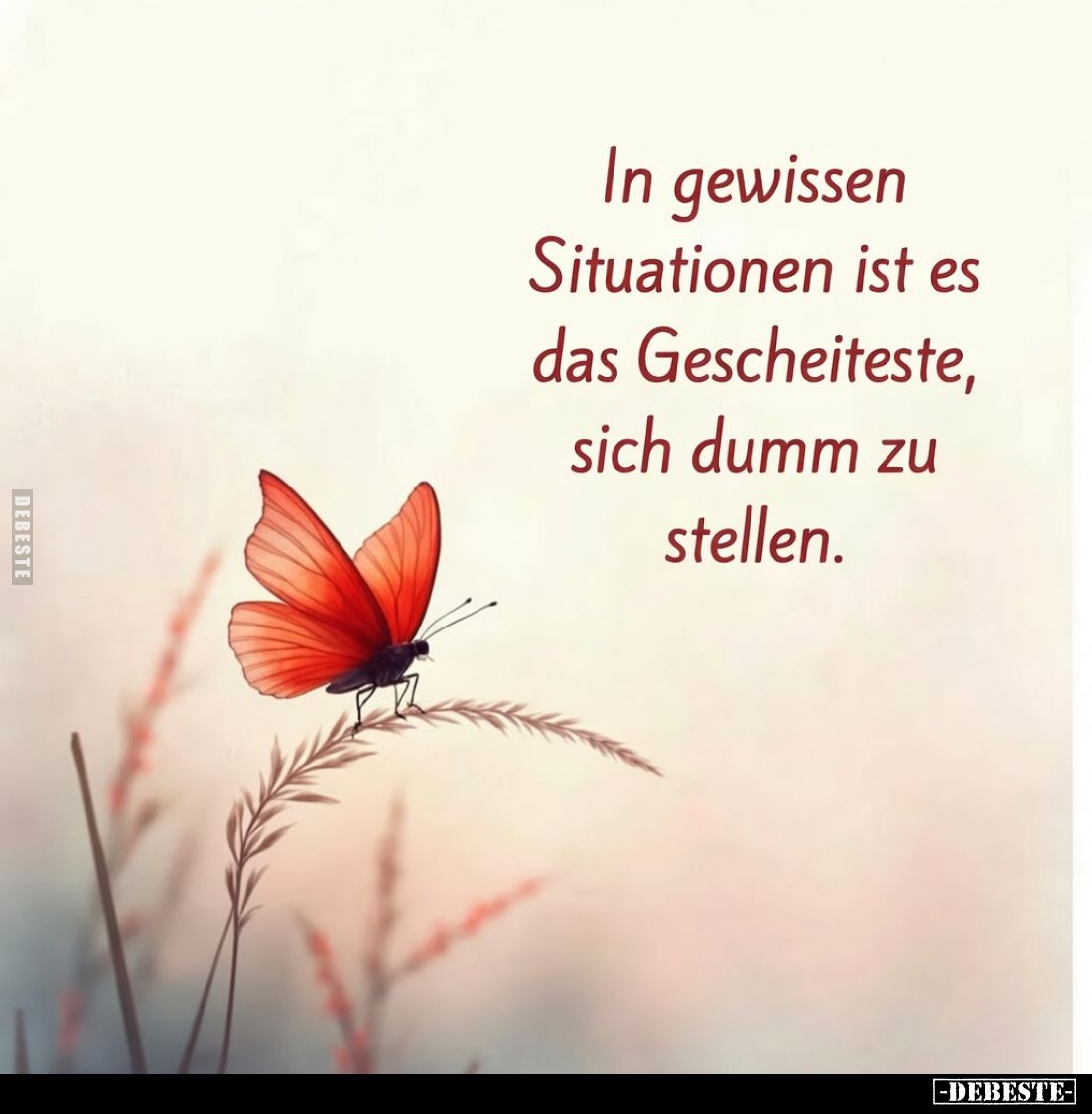 In gewissen Situationen ist es das Gescheiteste, sich dumm zu stellen.