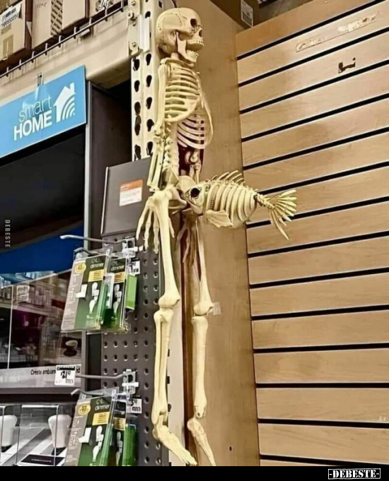  - Lustige Bilder | DEBESTE.de