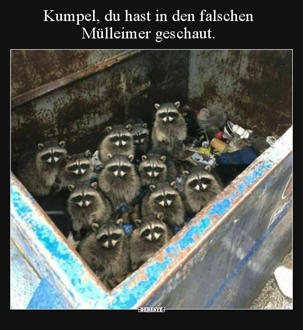 Kumpel, du hast in den falschen Mülleimer geschaut... - Lustige Bilder | DEBESTE.de