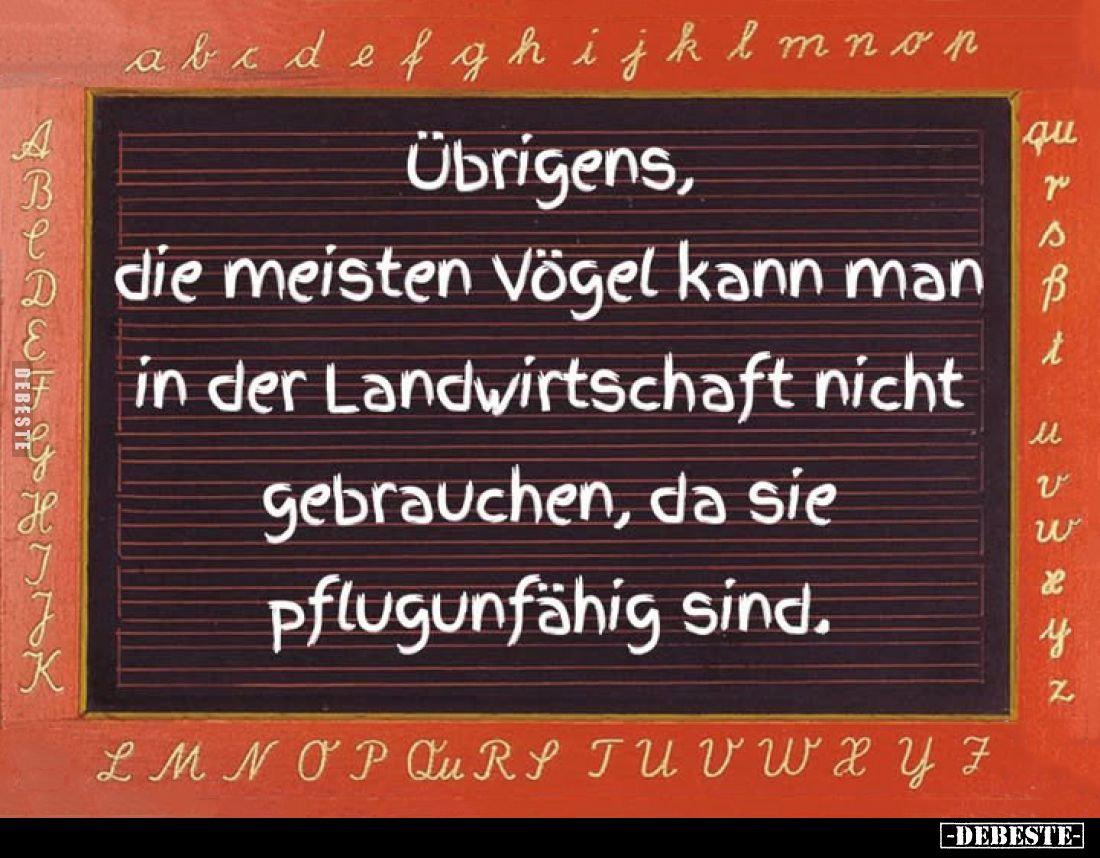 Übrigens, die meisten Vögel kann man in der Landwirtschaft nicht gebrauchen, da sie pflugunfähig sind.