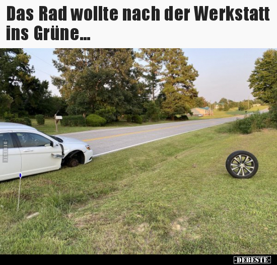 Das Rad wollte nach der Werkstatt ins Grüne... - Lustige Bilder | DEBESTE.de
