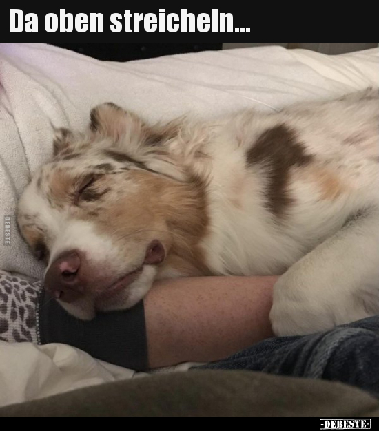 Da oben streicheln...