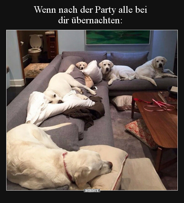 Wenn nach der Party alle bei dir übernachten.. - Lustige Bilder | DEBESTE.de